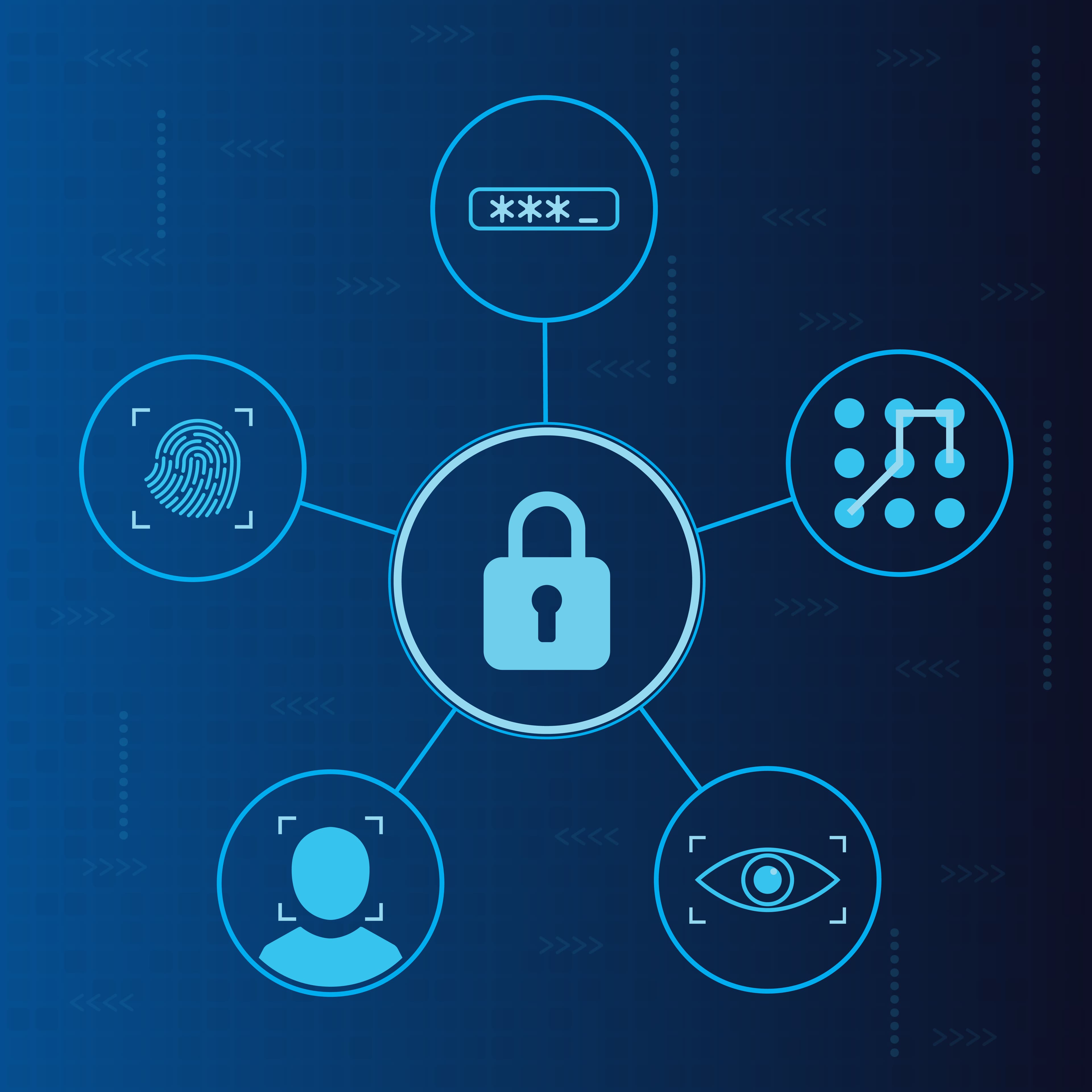 Network Graph for Fraud Ring Detection